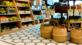 pattern en mosaico vitreo de ONIX®