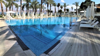 blue macauba_web israel 02